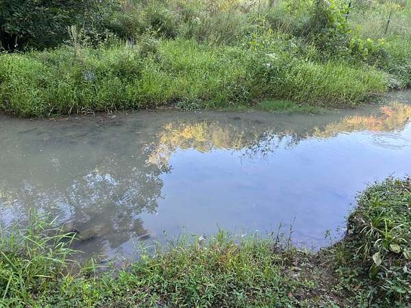 27 Acres of Agricultural & Residential Land for Sale in Rogersville, Tennessee