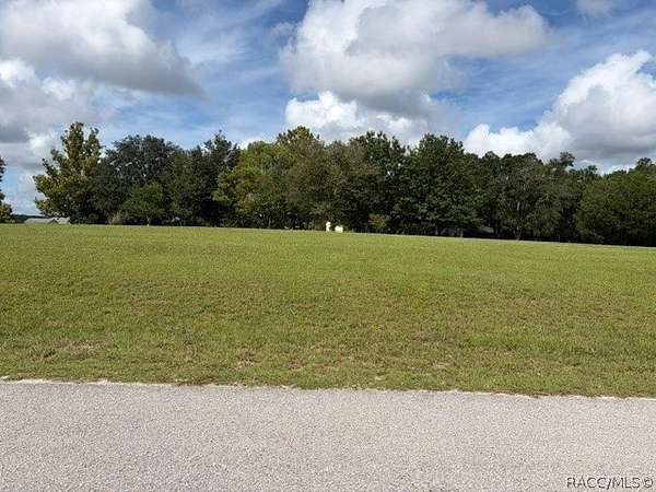 1 Acre of Residential Land for Sale in Hernando, Florida