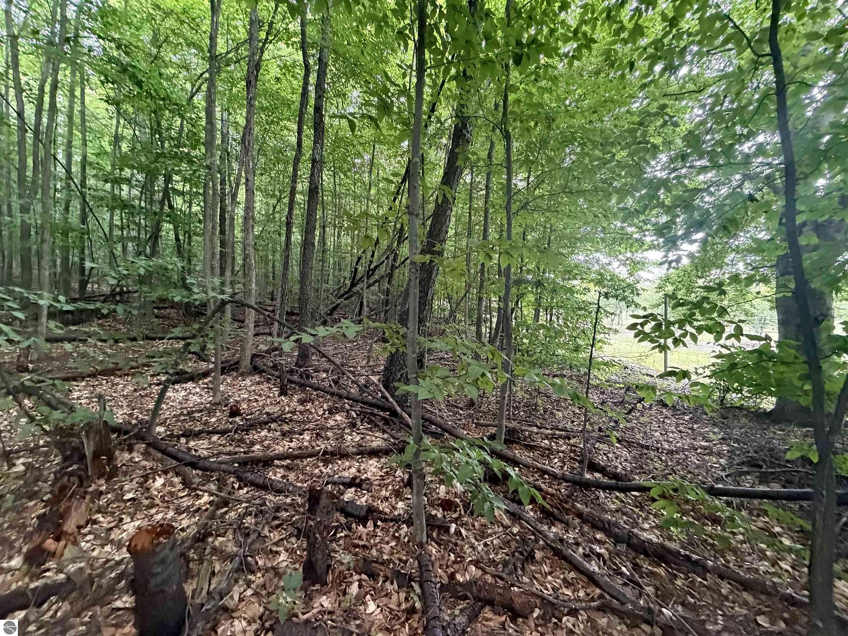 5 Acres of Residential Land for Sale in Beulah, Michigan