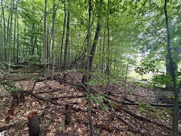 5 Acres of Residential Land for Sale in Beulah, Michigan