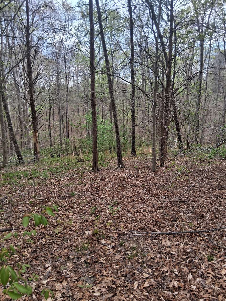3.34 Acres of Residential Land for Sale in Westmoreland, Tennessee