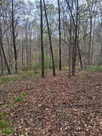3.34 Acres of Residential Land for Sale in Westmoreland, Tennessee