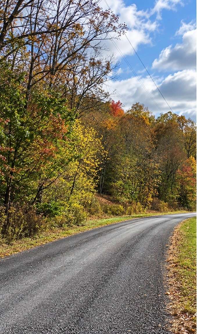 10.8 Acres of Land for Sale in Dellrose, Tennessee
