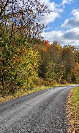 10.8 Acres of Land for Sale in Dellrose, Tennessee