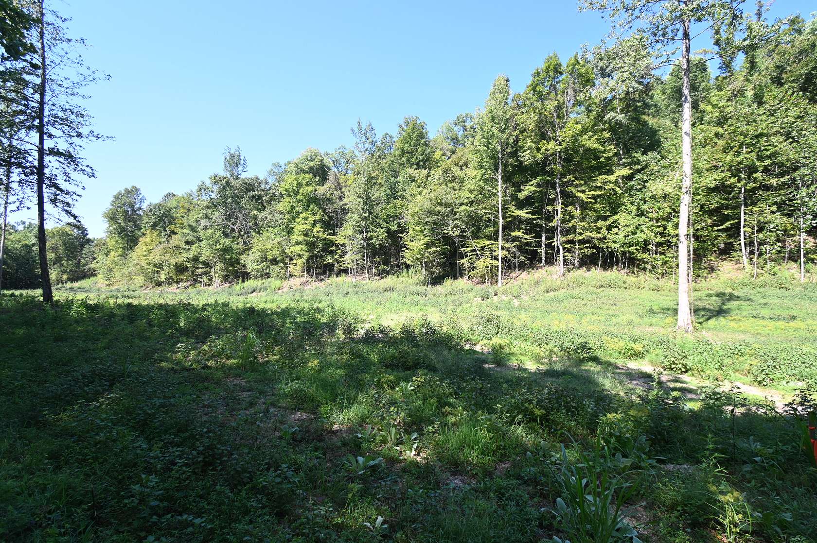 5.72 Acres of Agricultural Land for Sale in Linden, Tennessee