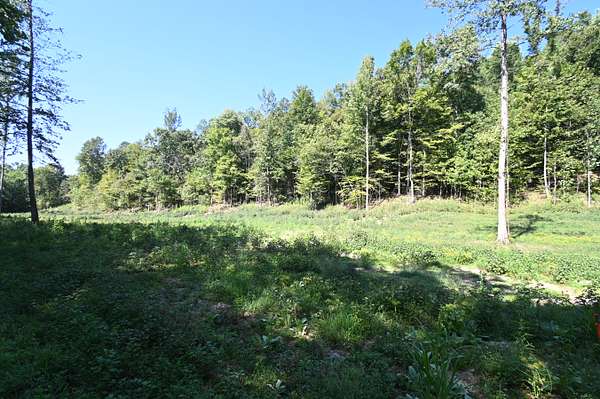5.72 Acres of Agricultural Land for Sale in Linden, Tennessee