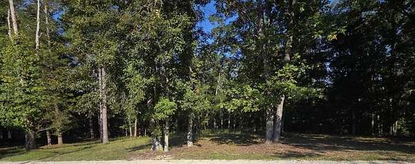 1.25 Acres of Residential Land for Sale in Louisa, Kentucky