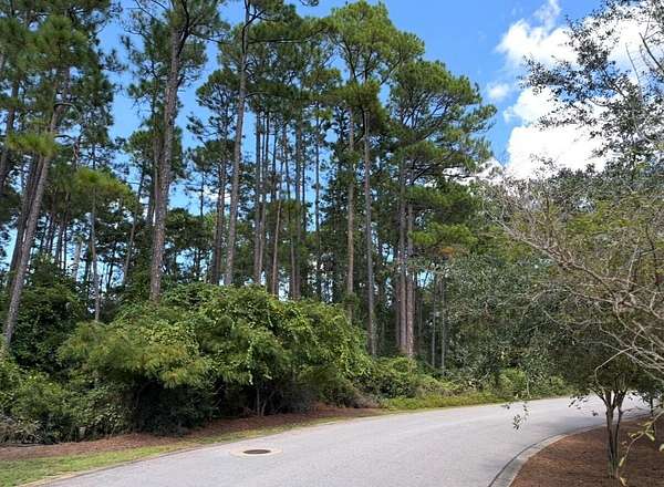 0.5 Acres of Residential Land for Sale in Santa Rosa Beach, Florida