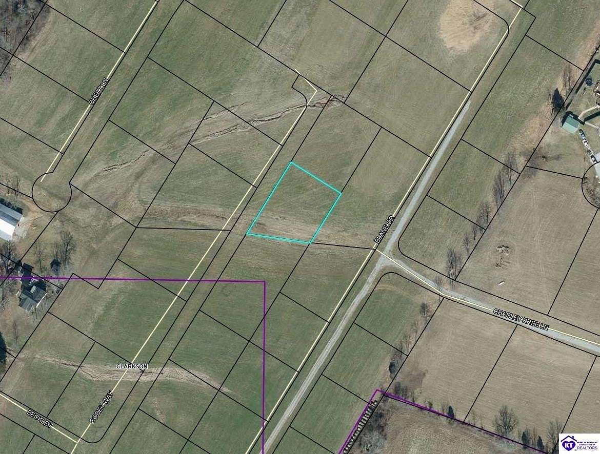 0.39 Acres of Residential Land for Sale in Clarkson, Kentucky