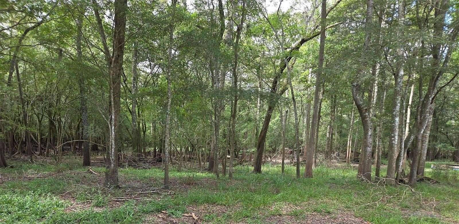 0.66 Acres of Residential Land for Sale in Old Town, Florida