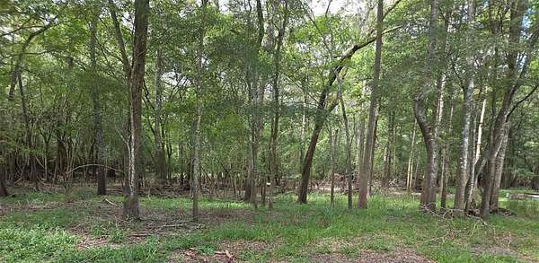 0.66 Acres of Residential Land for Sale in Old Town, Florida