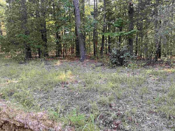 0.47 Acres of Land for Sale in Quitman, Arkansas