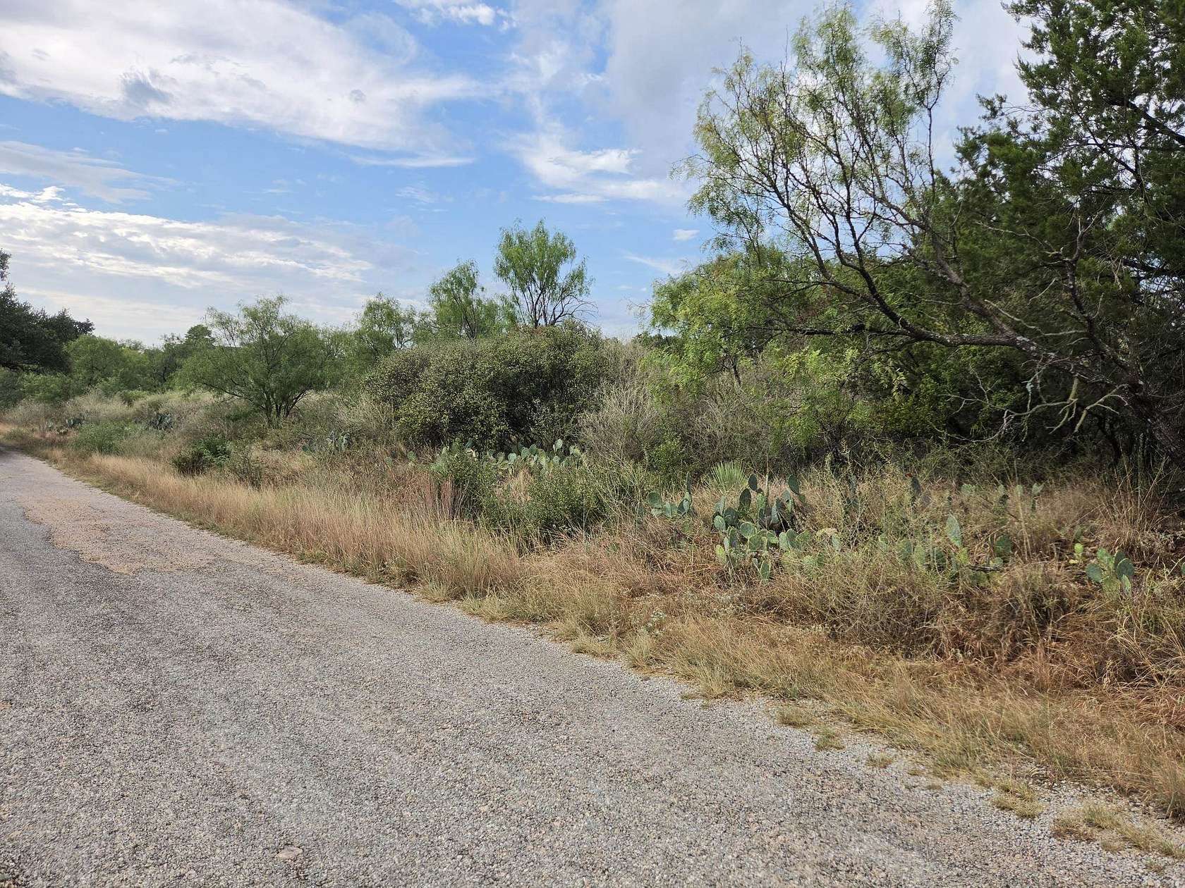 0.44 Acres of Residential Land for Sale in Granite Shoals, Texas