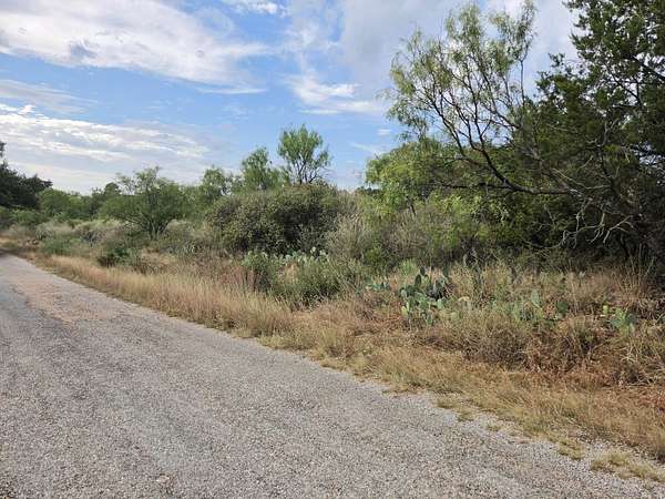 0.44 Acres of Residential Land for Sale in Granite Shoals, Texas