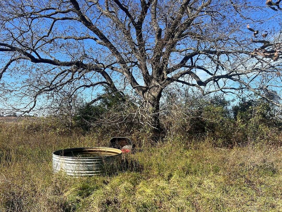 48.5 Acres of Agricultural Land for Sale in Groesbeck, Texas