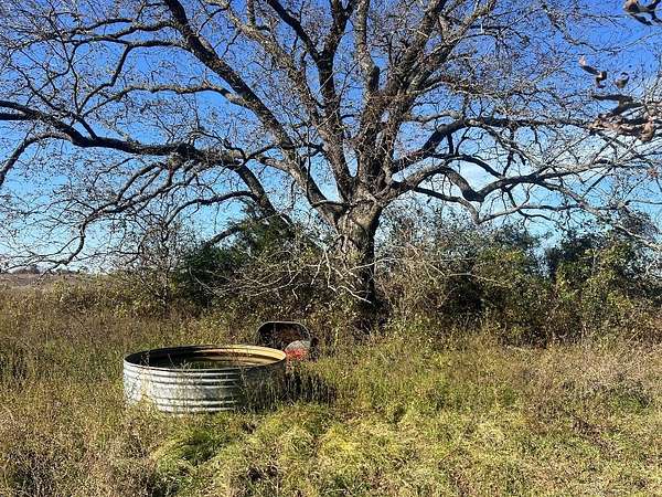 48.5 Acres of Agricultural Land for Sale in Groesbeck, Texas