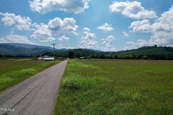 30.2 Acres of Agricultural & Residential Land for Auction in Chuckey, Tennessee