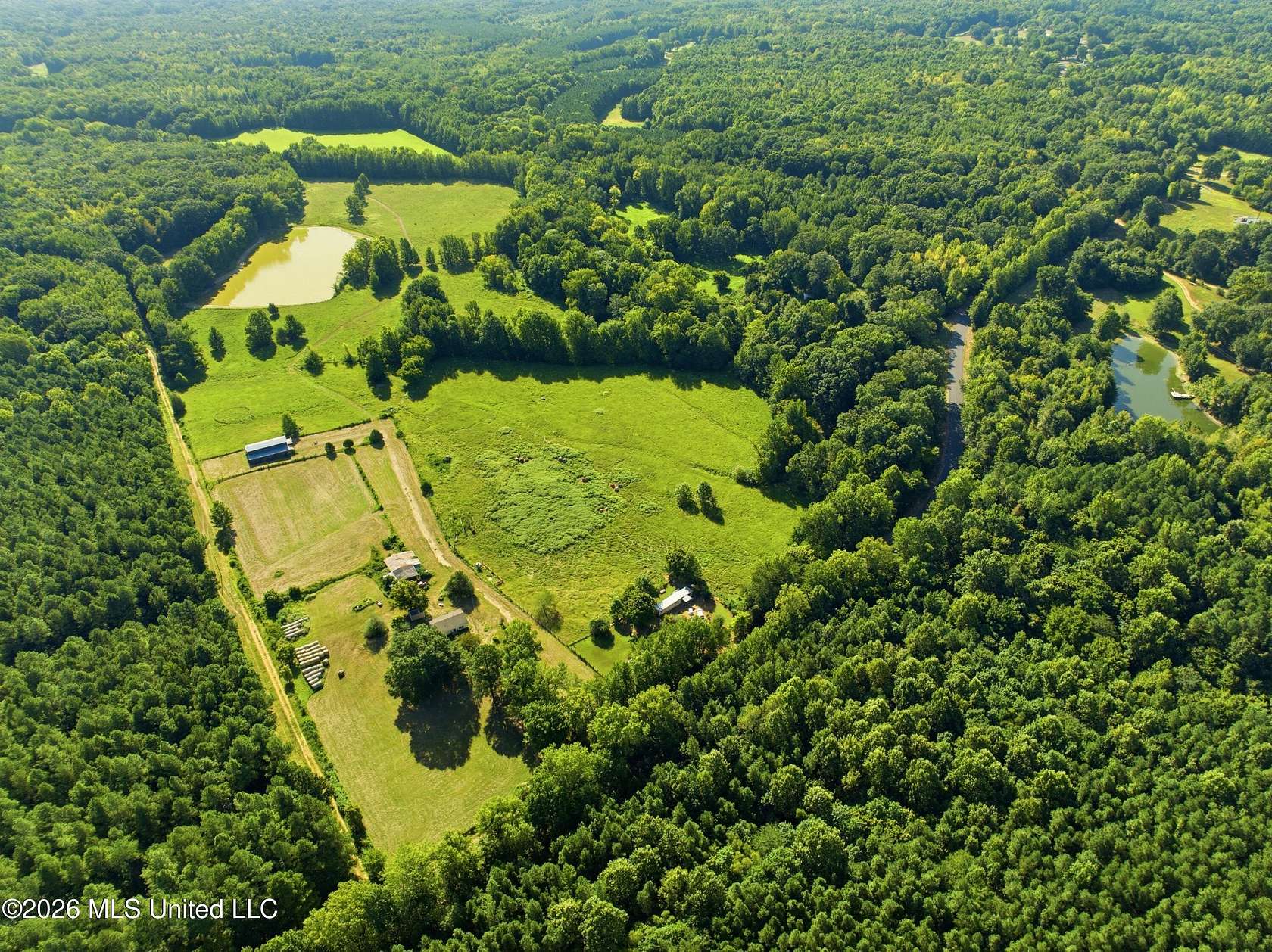 100 Acres of Land for Sale in Coldwater, Mississippi
