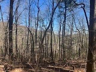 0.88 Acres of Residential Land for Sale in Cherry Log, Georgia