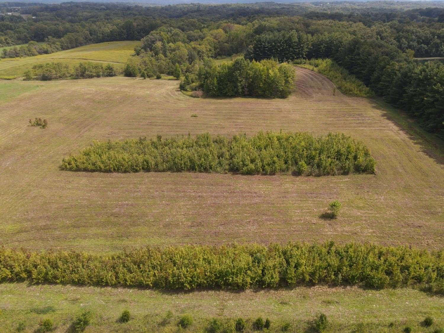 2.87 Acres of Land for Sale in West Harrison, Indiana