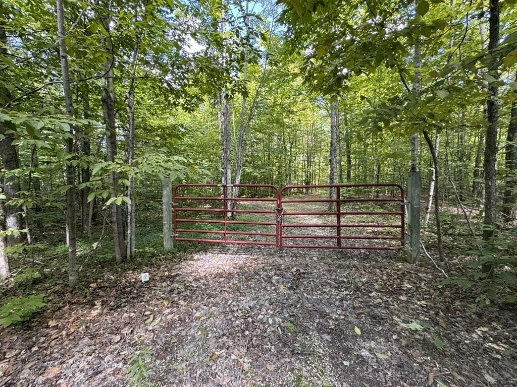 3.82 Acres of Land for Sale in Wolverine, Michigan