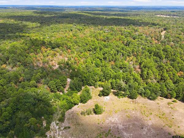19.4 Acres of Land for Sale in Winnsboro, Texas
