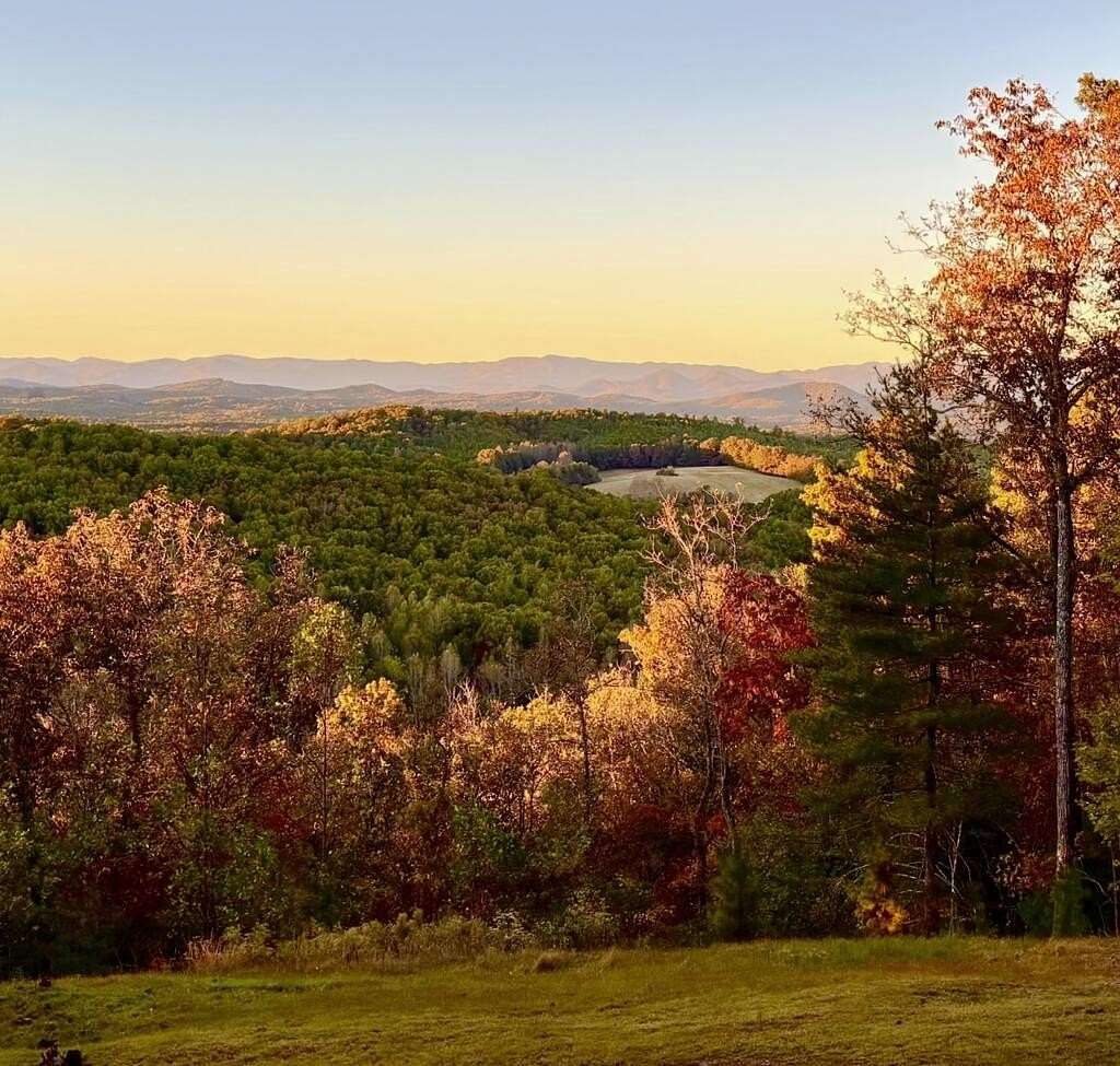 17.2 Acres of Land with Home for Sale in Morganton, Georgia