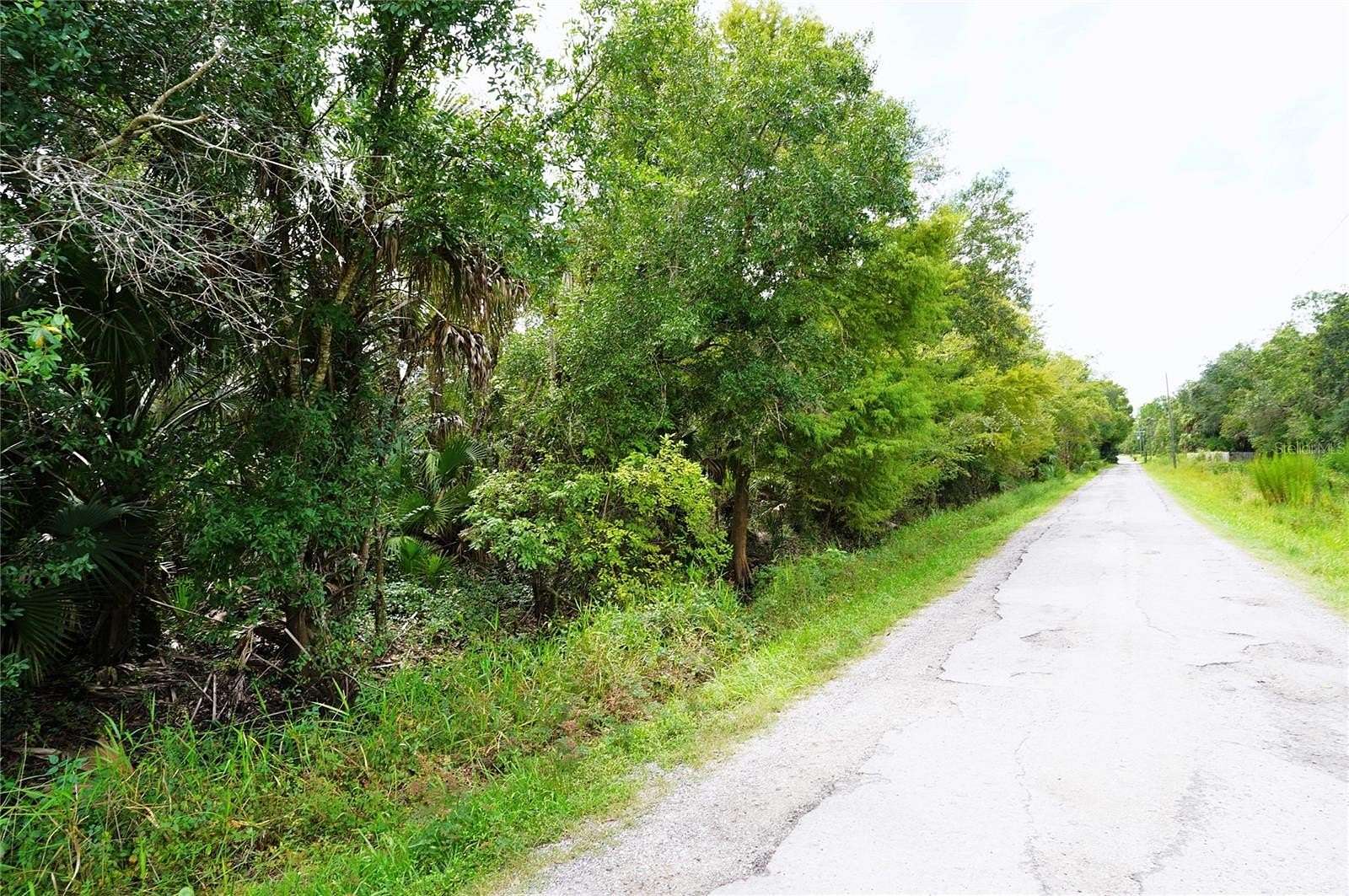 2.68 Acres of Land for Sale in Arcadia, Florida