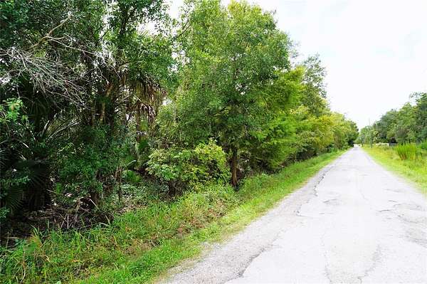 2.68 Acres of Land for Sale in Arcadia, Florida