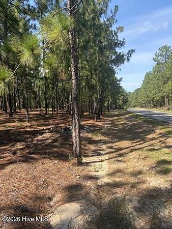 63.5 Acres of Recreational & Residential Land for Sale in West End, North Carolina