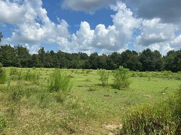 3.14 Acres of Residential Land for Sale in Irvington, Alabama