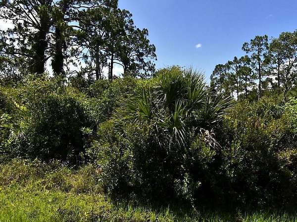0.23 Acres of Residential Land for Sale in North Port, Florida