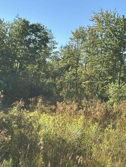 36 Acres of Recreational Land for Sale in Detroit, Maine