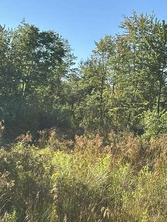36 Acres of Recreational Land for Sale in Detroit, Maine