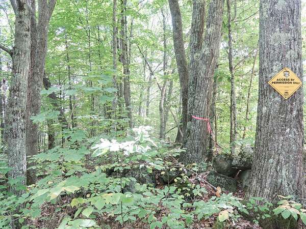 3.9 Acres of Land for Sale in Windsor, Maine