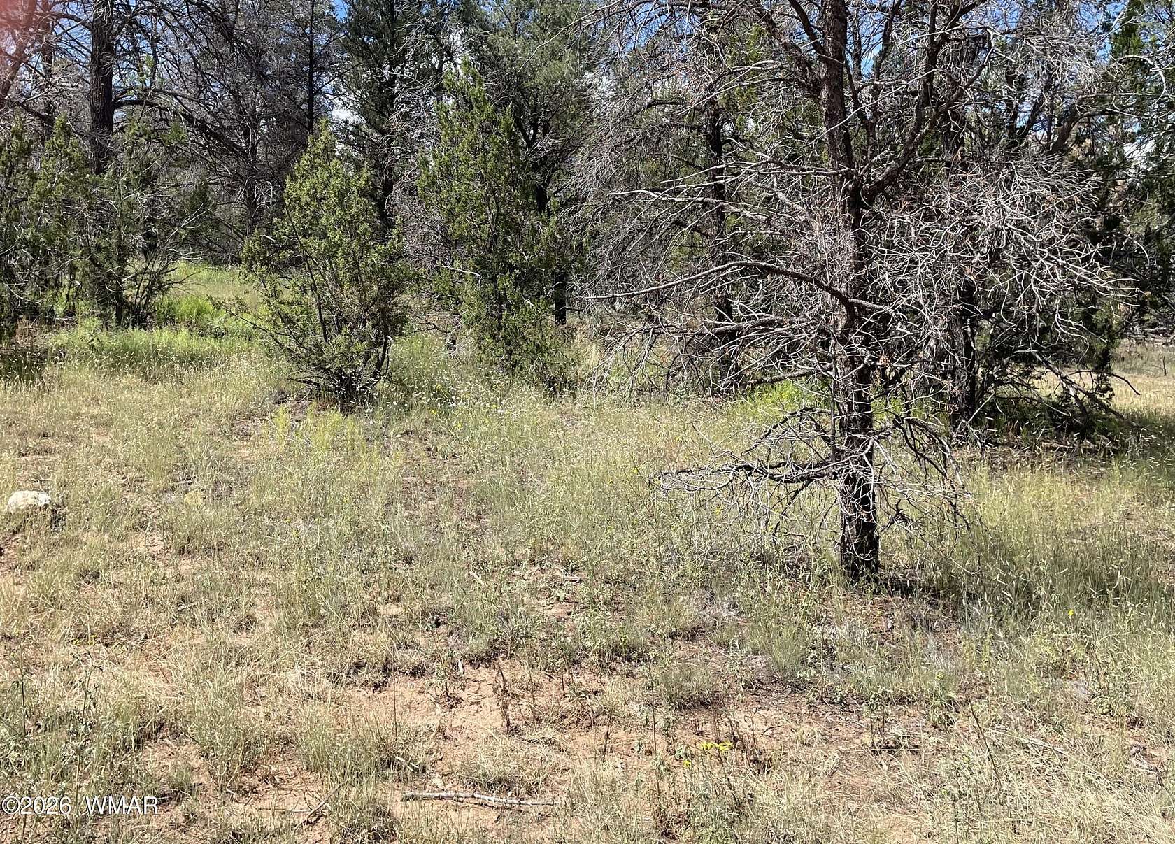 1.43 Acres of Residential Land for Sale in Overgaard, Arizona