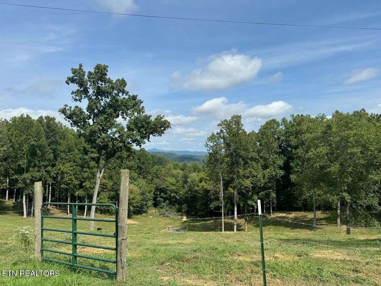 21 Acres of Land for Sale in New Tazewell, Tennessee