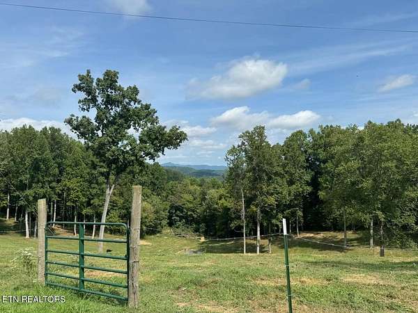 21 Acres of Land for Sale in New Tazewell, Tennessee