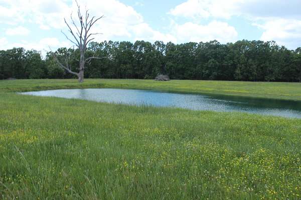 58 Acres of Land for Sale in Thayer, Missouri