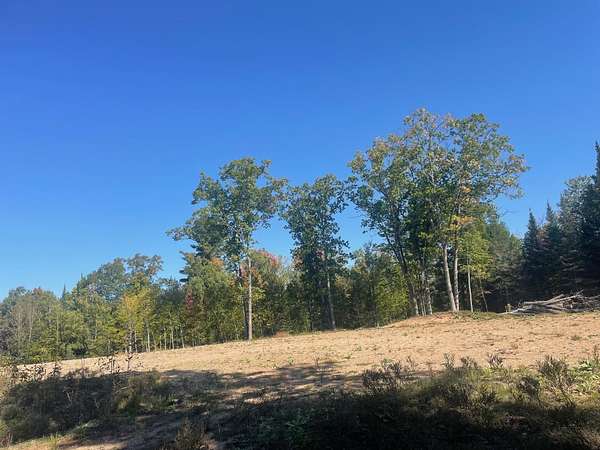 1.26 Acres of Residential Land for Sale in Lakewood, Wisconsin