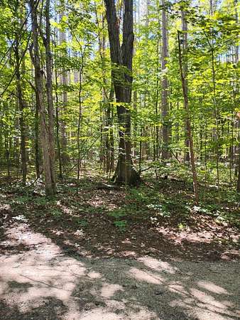 0.52 Acres of Land for Sale in Mancelona, Michigan