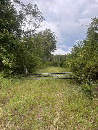 3,082 Acres of Recreational Land for Auction in Monticello, Florida