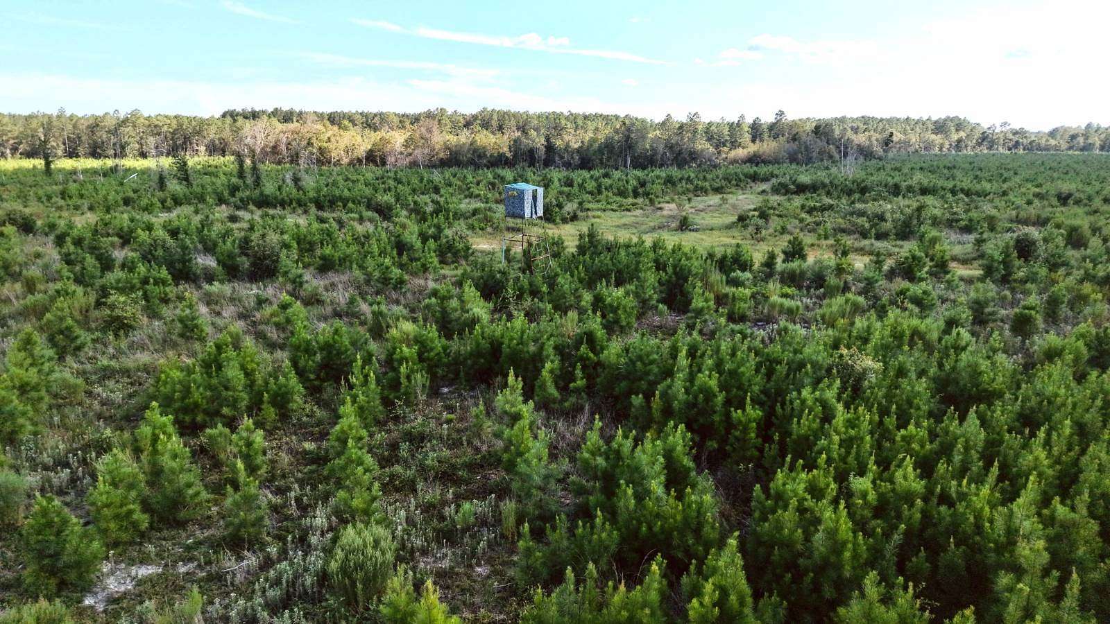 447 Acres of Land for Sale in Newington, Georgia