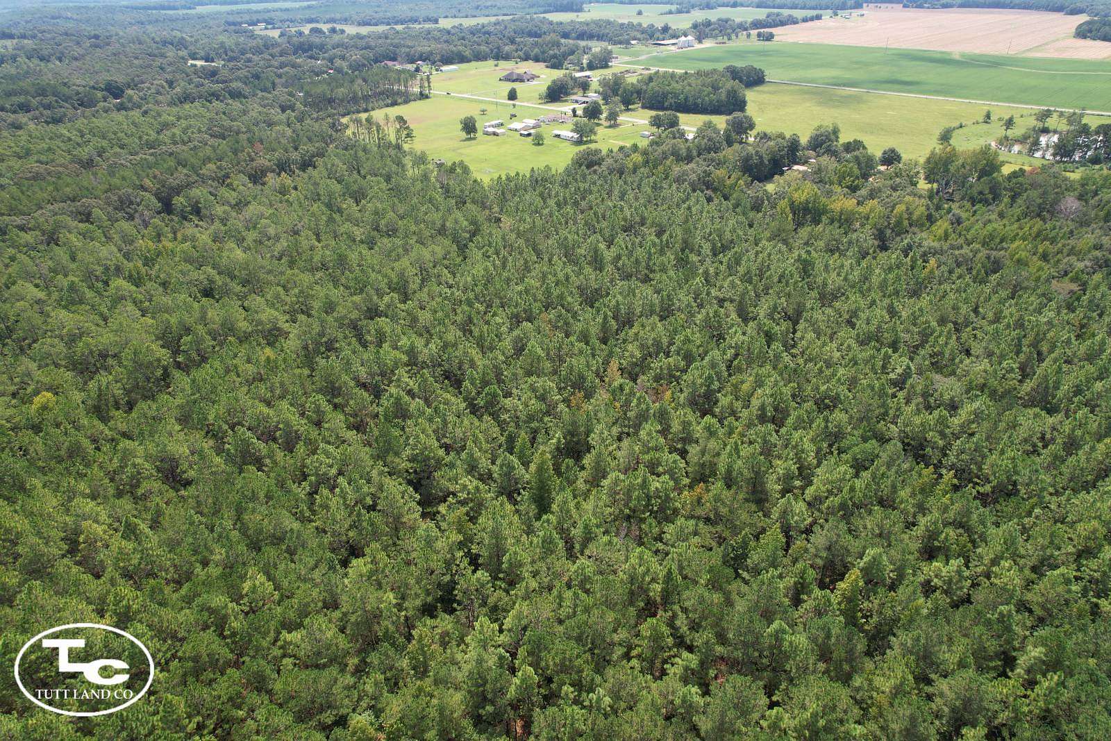 81.7 Acres of Land for Sale in Century, Florida