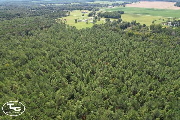 81.7 Acres of Land for Sale in Century, Florida