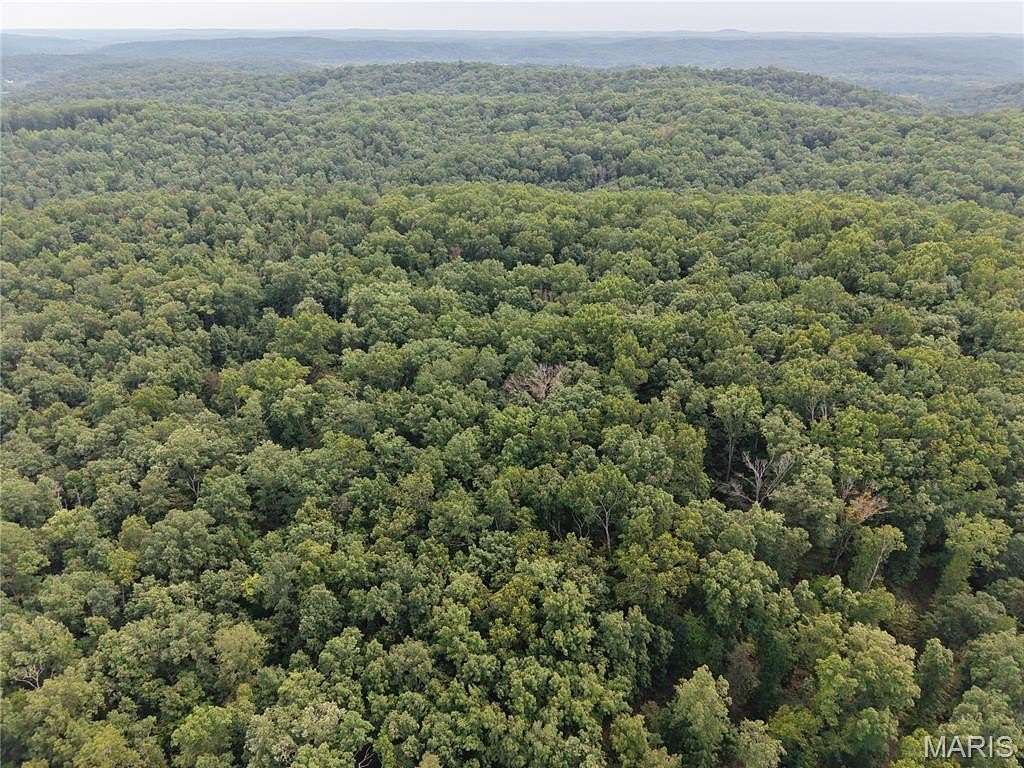 90 Acres of Recreational Land for Sale in Piedmont, Missouri
