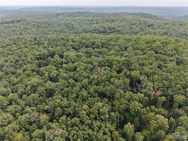 90 Acres of Recreational Land for Sale in Piedmont, Missouri