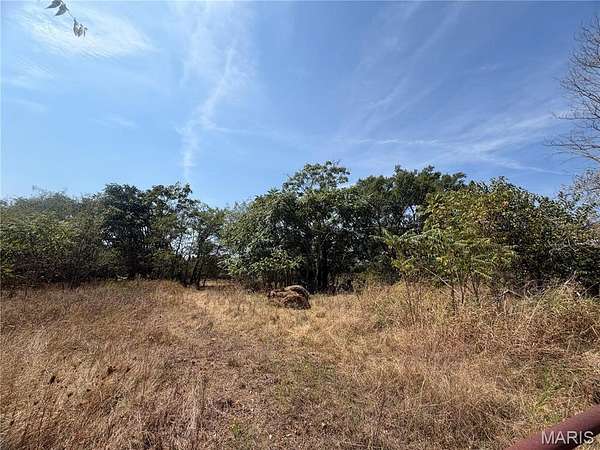 38.7 Acres of Land for Sale in Lebanon, Missouri