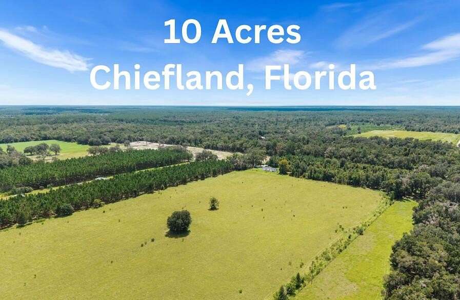 10 Acres of Recreational & Residential Land for Sale in Chiefland, Florida
