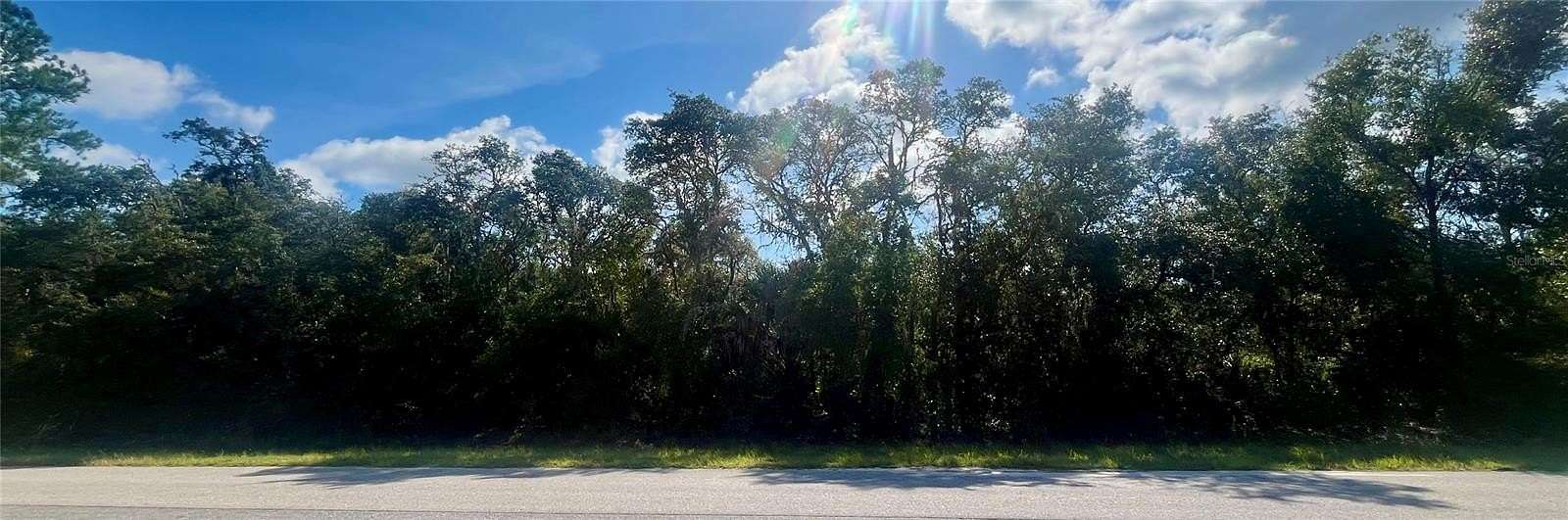 18 Acres of Recreational Land for Sale in Ocklawaha, Florida
